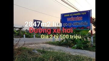 (ngừng giao dịch)Bán 2847m2 đất lúa xã phước tuy cần đước Long An đường xe hơi trước đất.