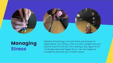 Supporting Adaptive Functioning Skills in Students