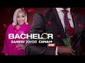 Laventure the bachelor dbarque sur canal pop 