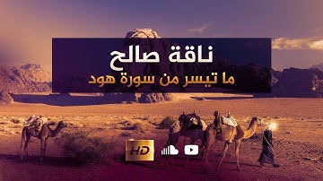 Surat Hud "61-68" ما تيسر من سورة هود