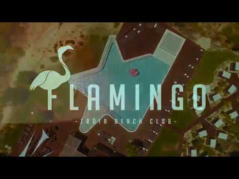 Flamingo club Flamingo club