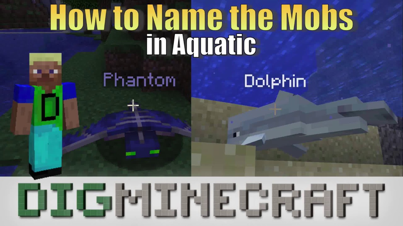 How To Make A Name In Minecraft