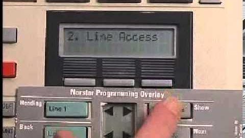 Norstar Program Line Pool Access 10297