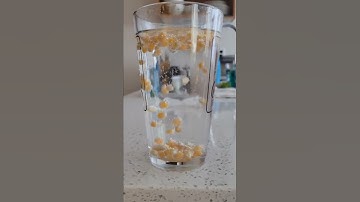 Popcorn Kernel Lava Lamp #science #shorts