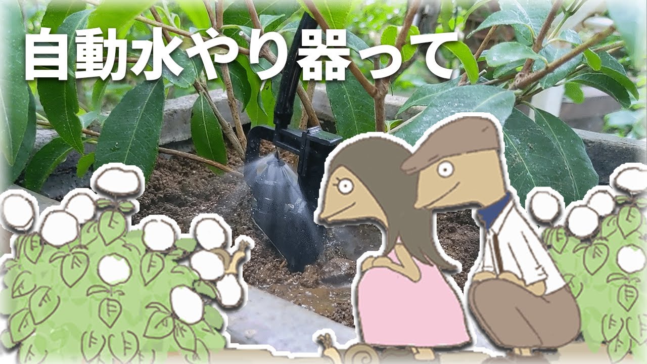 自動水やりタイマー・散水パーツの紹介 - YouTube