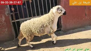 سلسلة جديدة بتاريخ/9/5/2026 عنوانه العمل الجاد توصل للمبتغة ديالك 🇲🇦✌️❤️