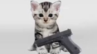 This cat wants YOU to WIN!!!