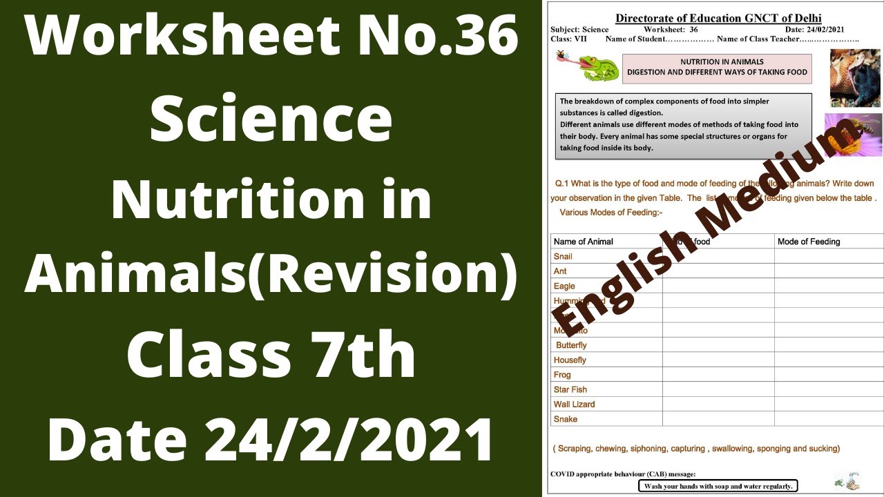 Worksheet 36 Science class 7(24/2/2021)English Med./worksheet 36 Science  class7/Science worksheet 36 - YouTube