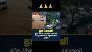 අධික වර්ෂාවෙන් කිසිවෙකුටත් හානියක් සිදුනොවේවා!!🤍