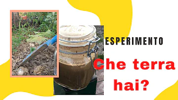 Quali sono le caratteristiche dei terreni limosi?