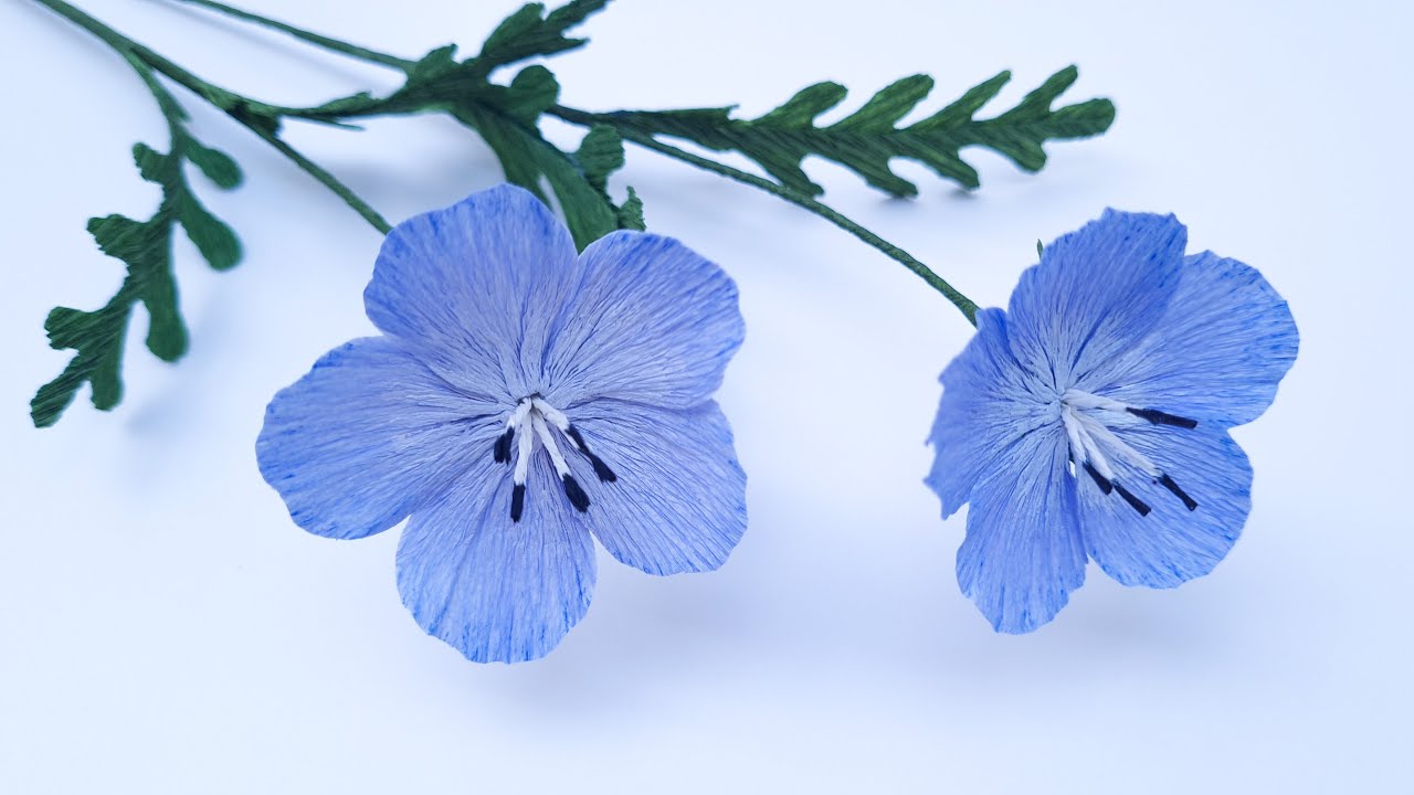 How To Make Baby Blue Eyes Paper Flower / Paper Flower / Góc nhỏ Handmade