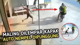 Maling Terbodoh di Dunia! Lihat Kelakuannya yang Bikin Geleng-Geleng Kepala