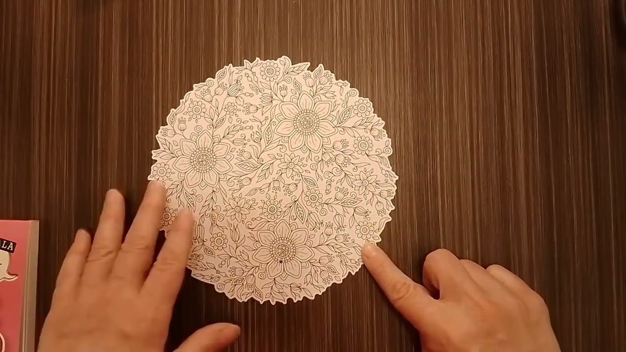 HAUL ACTION 1 4-3-26