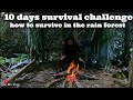 10 Days Survival Challenge In The Jungle - How To Survive In The Rain Forest - Full video