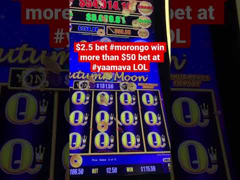 Imperial ascension big win #slotmachines #casinojackpots