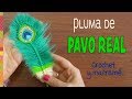 Plumas de Pavo real REVERSIBLES a crochet y macramé / English subtitles: Peacock feathers