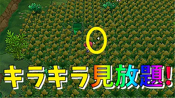 ポケットモンスター Xy ポケトレ ポケットモンスター Xy ポケトレ