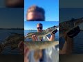 Late Summer PIKE Fishing! 🎣 #angler #fishing