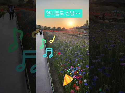 2026년 5월 16일