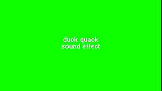 Duck Quack Sound Effect Gg Green Screens