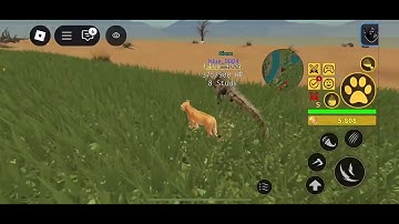 NEW SCRIPT SAVANNAH LIFE MOBILE/PC