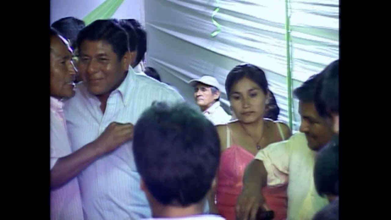 Cantaritos de Oro en Fundó Los Mellizos - Illimo