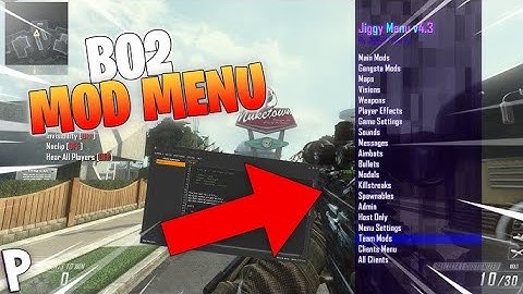 How To Get Bo2 Multiplayer Mod Menu