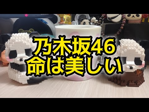 乃木坂46：命は美しい【46祭り】【歌ってみた】 #cover #歌ってみた #外国人