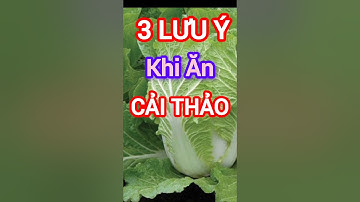 3 Lưu Ý Khi Ăn Cải Thảo Tốt Cho Sức Khỏe #dinhduong #health #suckhoe
