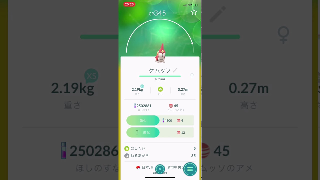 ポケモンgo ケムッソからカラサリスへ進化シーン Youtube