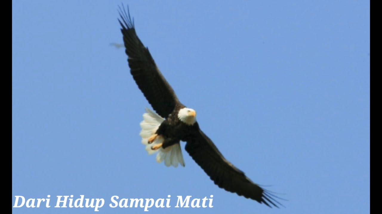 Lagu Rohani || Dari Hidup Sampai Mati - YouTube