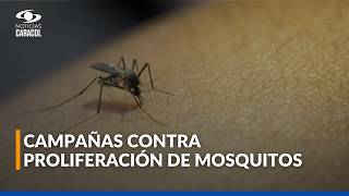 Montería activa plan sanitario y censo tras descenso del río Sinú por inundaciones