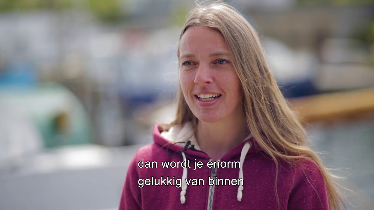 Whale Watching on the Little Belt