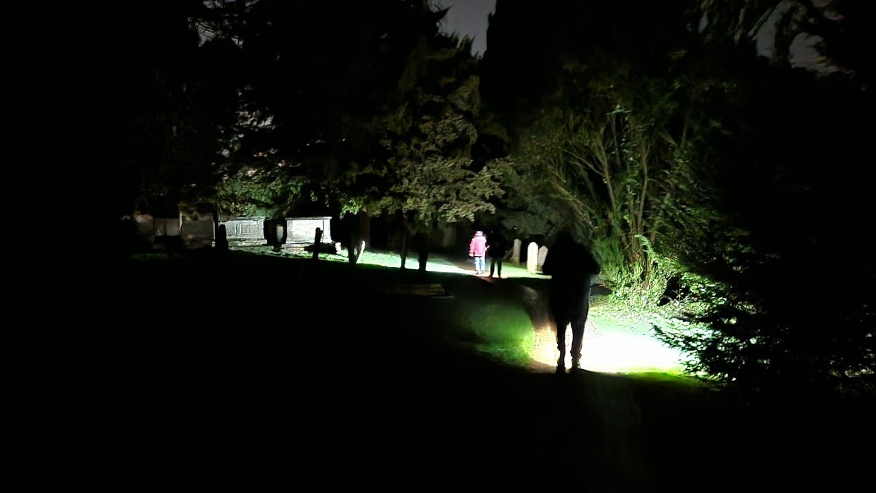 (Призраки доказывают, что это место населено привидениями).......