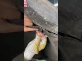 ¡Obligatorio para los TOC! Cambiar todas las abrazaderas del coche, ¿quién entiende esta comodidad
