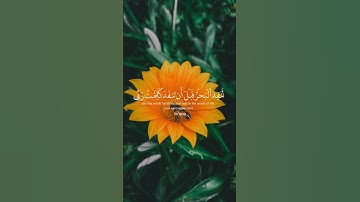 القارئ اسلام صبحي - قل لو كان البحر مدادا لكلمات ربي لنفد البحر قبل أن تنفد كلمات ربي - سورة الكهف