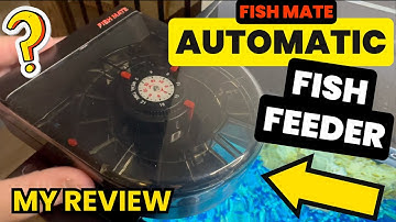 Does It Work? Fish Mate Automatic Fish Feeder 14 Day - Tiny Fish Fry - Feed When You