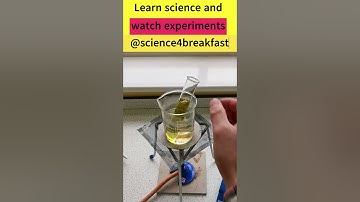 Testing a Leaf for Starch  #gcsescience #biology #science #scienceteacher