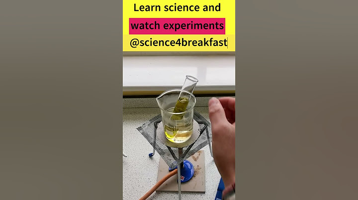 Testing a Leaf for Starch  #gcsescience #biology #science #scienceteacher