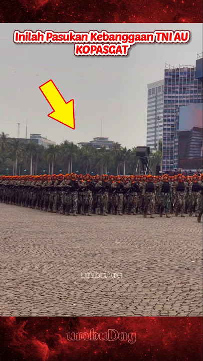 AWESOME! This is the Indonesian Air Force's Kopasgat Devile #tni #tniau #huttni