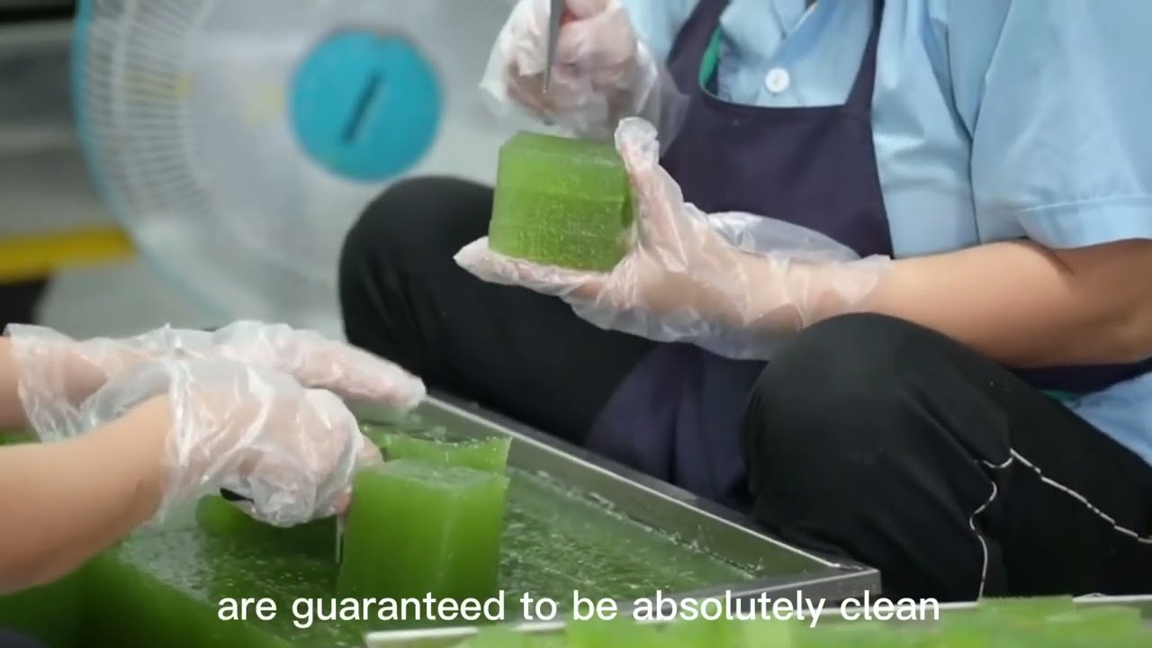 How To Make Sea Moss Gummies✨