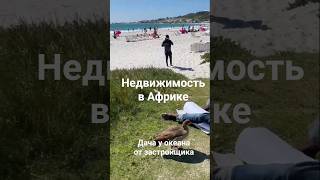 Утки в Африке #инвестициивнедвижимость #купиквартиру #море #пассивныйдом #купитьквартиру