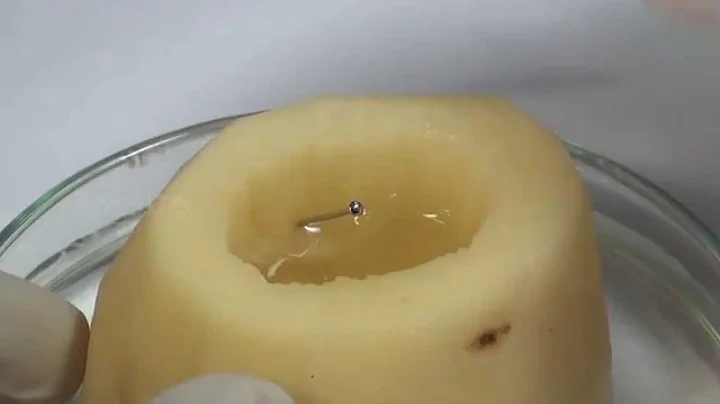 Study of Osmosis - MeitY OLabs