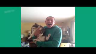 Буду воспитывать хозяина ! Смешные животные! Смешные коты! / Funny animals! Fun! Funny Cats! Буду воспитывать хозяина ! Смешные животные! Смешные коты! / Funny animals! Fun! Funny Cats!