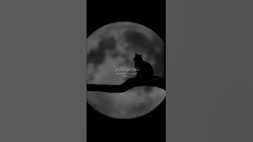 تلاوة خاشعة للقرآن الكريم#quran #المصحف #الرحمن #maroc #لايك #العظماء