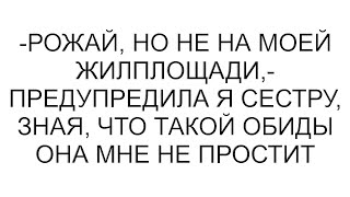 картинка: -Рожай, но не на моей жилплощади,- предупредила я сестру, зная, что такой обиды она мне не простит