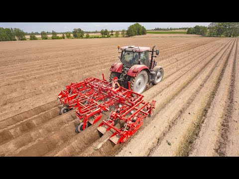 GRIMME GH 6 Eco | 6-row Ridging Hiller with integrated hoe technology