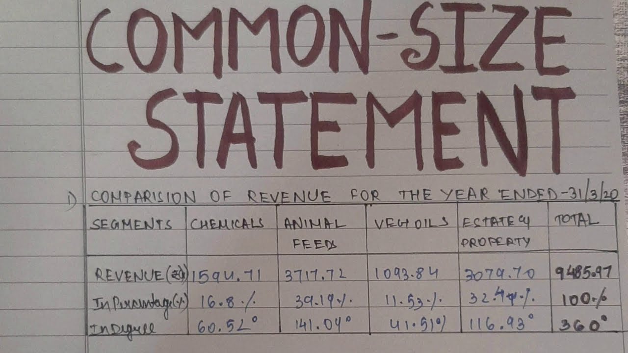 Cash flow statement - Accountancy Project class 12 - YouTube