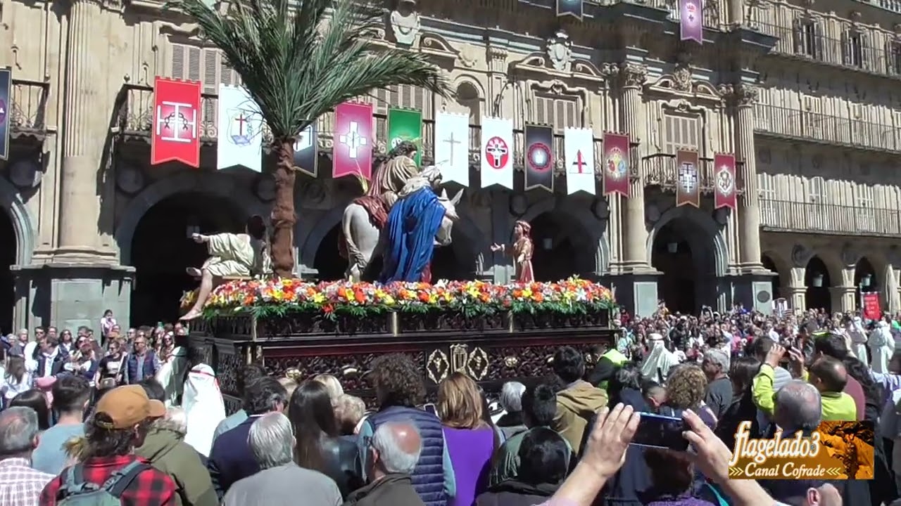 La borriquilla en la Plaza Mayor, Semana Santa Salamanca 2023