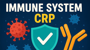 The Silent Hero of Our Immune System: CRP